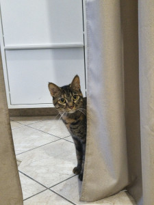 Photo de galerie - Trixie