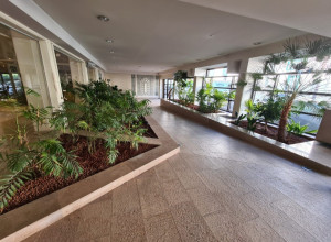 Photo de galerie - Plantes d'intérieurs