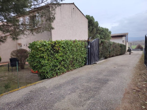 Photo de galerie - Taille de haies et d'arbustes