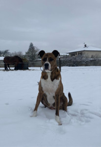 Photo de galerie - Séjour à la ferme !