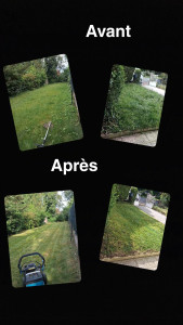 Photo de galerie - Débroussailler plus tonte 