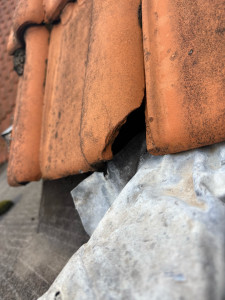 Photo de galerie - Fuite sur toiture