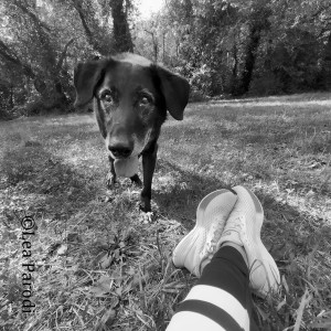 Photo de galerie - Mon patou     