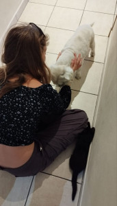 Photo de galerie - Gratouilles, papouilles, câlins ...une vie de chien ! 