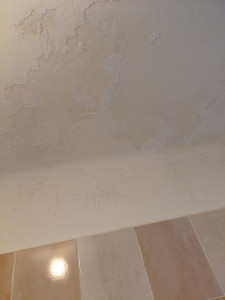 Photo de galerie - Plafond de la salle de bain tout écaillé