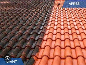 Photo de galerie - Couverture - Toiture