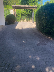 Photo de galerie - Taille de haies et d'arbustes