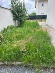 Photo de galerie - Jardin avant l’entretien