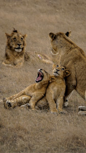 Photo de galerie - Photographe