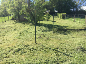 Photo de galerie - Debroussaillage d’ un terrain