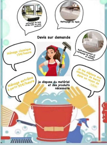 Photo de galerie - Prestations de ménage, repassage...