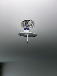 Photo de galerie - Manutention