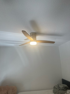 Photo de galerie - Ventilateur plafond 