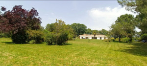 Photo de galerie - Entretien d’un grand parc 