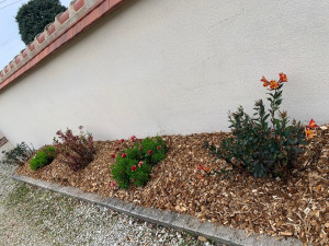 Photo de galerie - Pose de paillage 