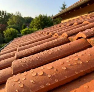 Photo de galerie - Application d'un hydrofuge. vaux-le-pénil 