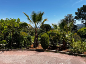 Photo de galerie - Paysagiste - Aménagement du jardin