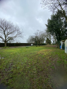 Photo de galerie - Remise en état d’un verger pelouse/haies