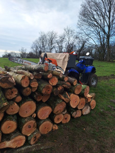 Photo de galerie - Coupe de bois de chauffage 