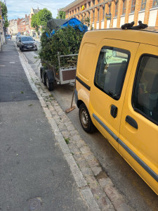 Photo de galerie - élagage plus évacuation 