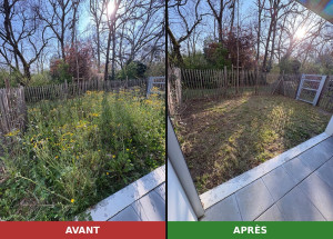 Photo de galerie - Jardin envahi remis en état en une seule intervention - Tonte, désherbage, ramassage complet. Toulouse et alentours