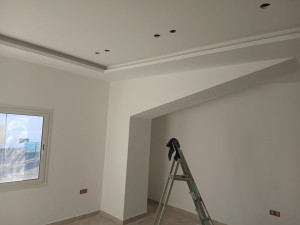 Photo de galerie - Plâtrerie - Murs - Plafonds