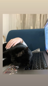 Photo de galerie - Max 