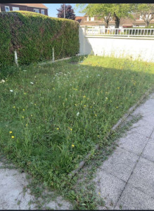 Photo de galerie - Le avant du jardin 