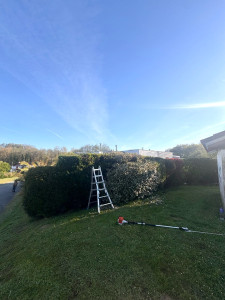 Photo de galerie - AVANT