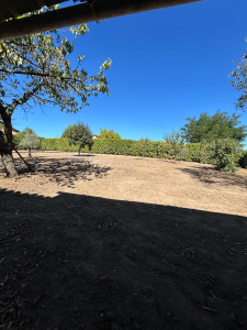 Photo de galerie - Préparation de terrain avant semis pelouse 