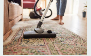 Photo de galerie - Ménage/repassage 

à domicile 
