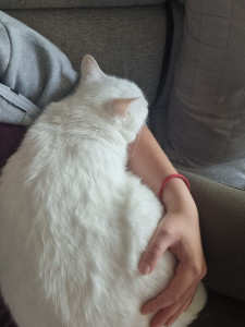 Photo de galerie - ?