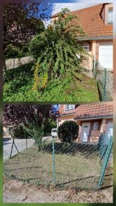Photo de galerie - Taille de buissons 