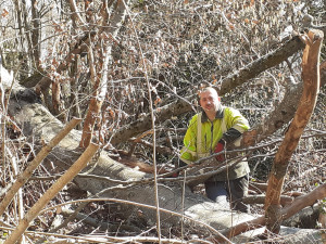 Photo de galerie - Mes capacité