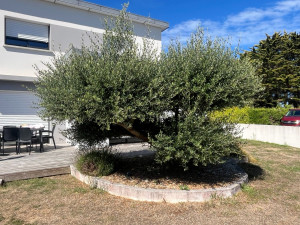 Photo de galerie - Jardinier