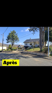 Photo de galerie - Elagage et coupe d'arbres