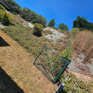 Photo de galerie - Entretien complet d un talus avec ronces et tailles arbustes 