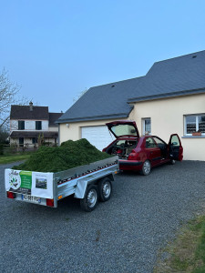 Photo de galerie - Tonte 