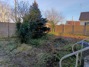 Photo de galerie - Après débroussaillage