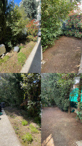 Photo de galerie - Nettoyage, taille de jardin