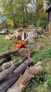 Photo de galerie - Coupe de bois