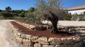 Photo de galerie - Paysagiste - Aménagement du jardin