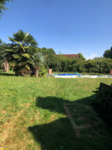 Photo de galerie - Tonte de pelouse