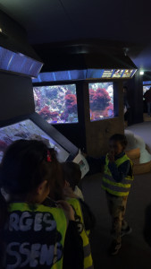 Photo de galerie - Sortie avec les enfant que je garde à l’aquarium 