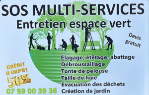 Photo de galerie - Elagage, étêtage, abattage Débroussaillage Tonte de pelouse Taille de haie Évacuation des déchets Création de jardin