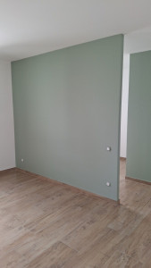 Photo de galerie - Couleurs Vert telemark 