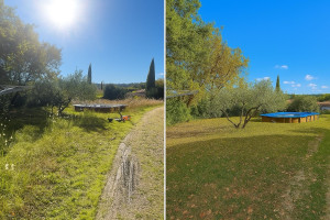 Photo de galerie - Tonte et débroussaillage d’un jardin de 1200m2