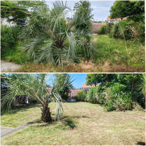Photo de galerie - Grosse remise en état d'un jardin à l'abandon