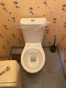 Photo de galerie - Changement toilettes 