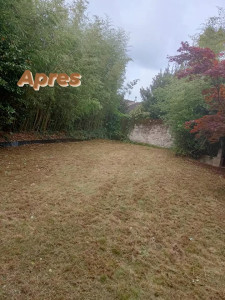 Photo de galerie - Tonte de pelouse - Débroussaillage